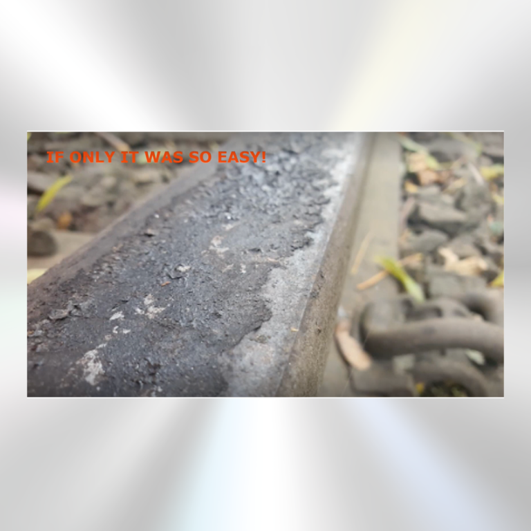 2022 05 04_Leaves on the line – A gripping reality_Louis Schmandt