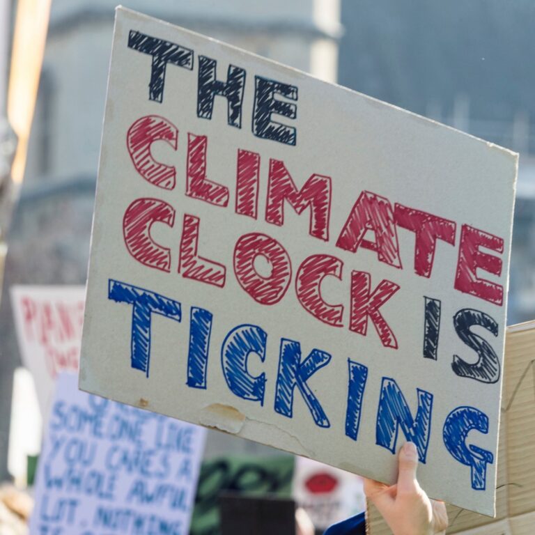 The importance of accounting carbon