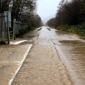Effects of climate change