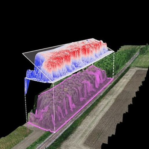 Vegetation Management on Core Valley Line