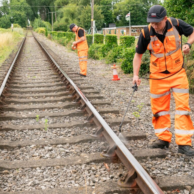 Leaves on the Line - A Gripping Reality (Part Two)
